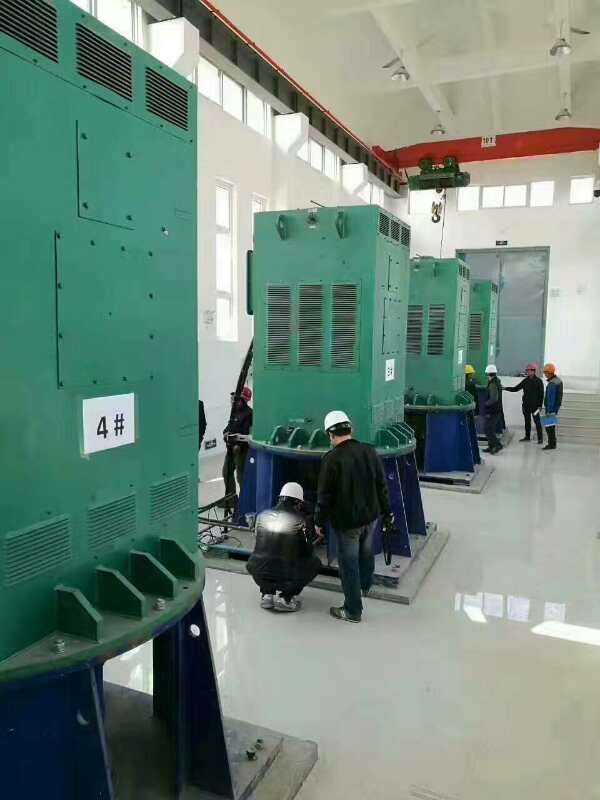 裕安某污水处理厂使用我厂的立式高压电机安装现场
